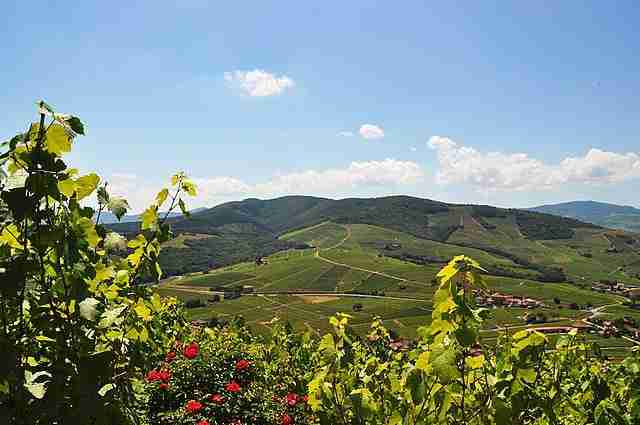 Rhône